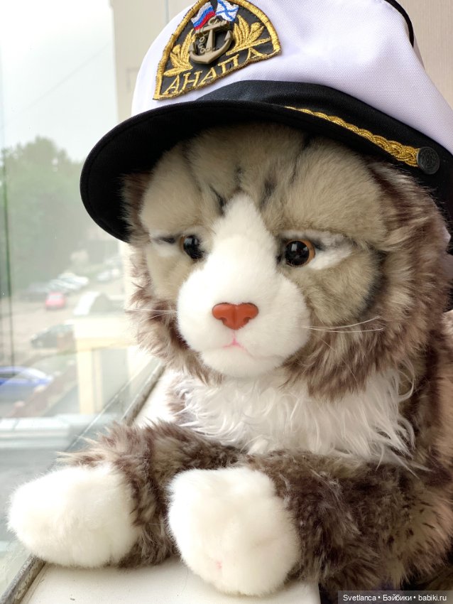 Всемирный день кошек. Коллекция котиков