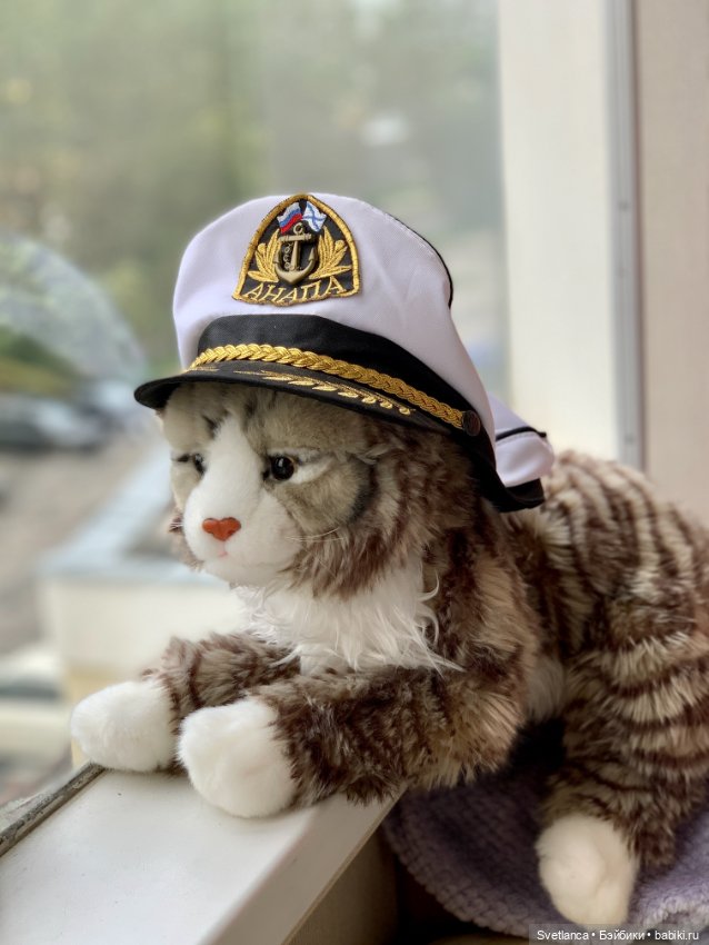 Всемирный день кошек. Коллекция котиков