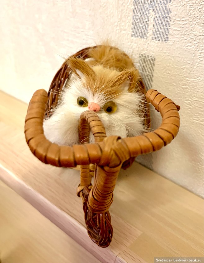 Всемирный день кошек. Коллекция котиков