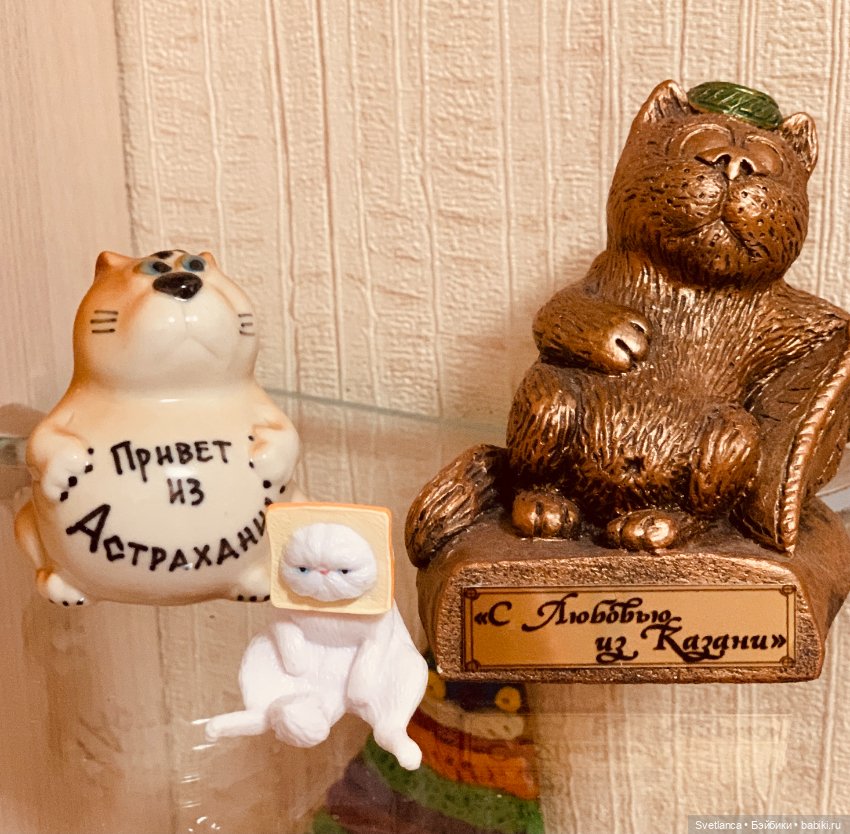 Всемирный день кошек. Коллекция котиков (фото 3)