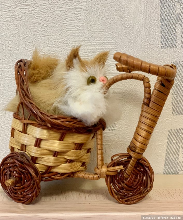 Всемирный день кошек. Коллекция котиков