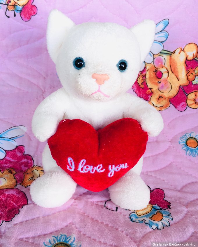 Всемирный день кошек. Коллекция котиков