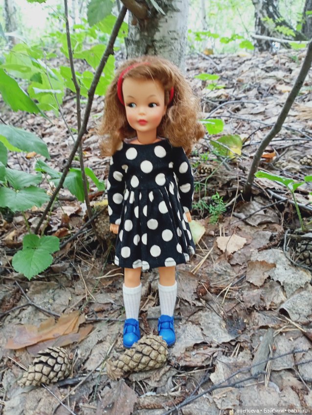 Мы-лягушки путешественницы (фото 3)