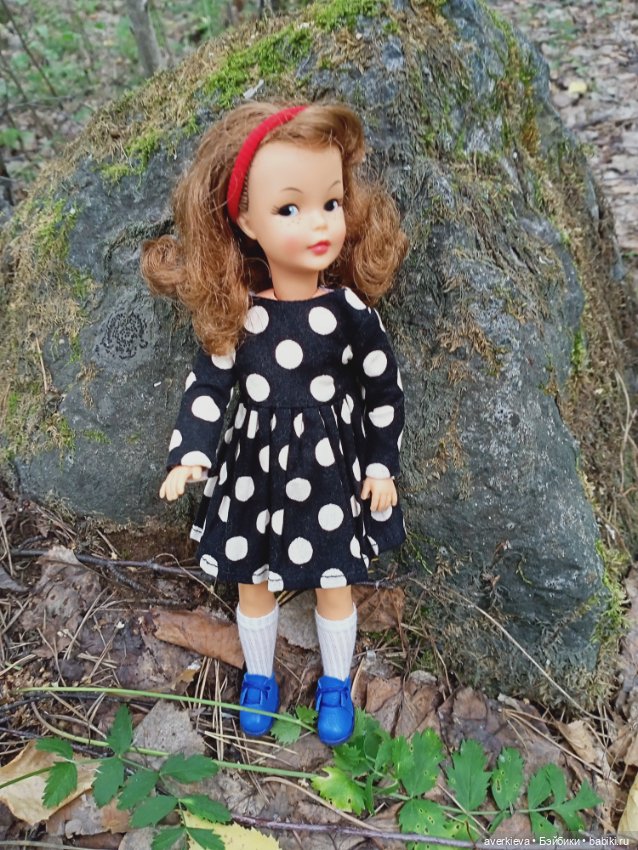 Мы-лягушки путешественницы