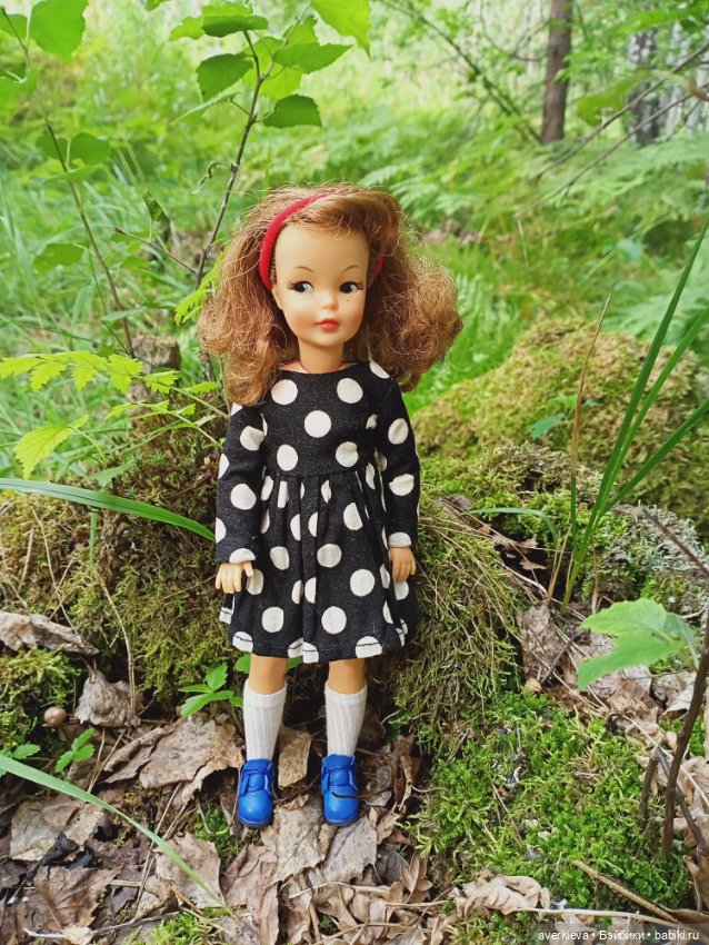 Мы-лягушки путешественницы (фото 9)