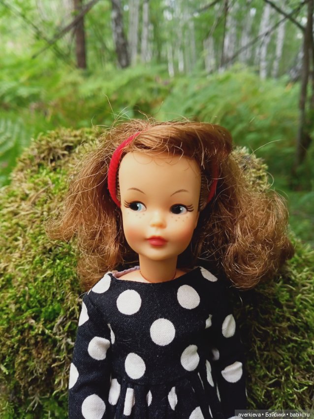 Мы-лягушки путешественницы