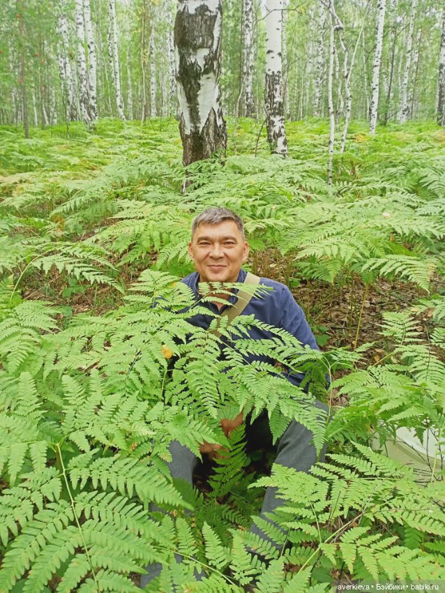 Мы-лягушки путешественницы