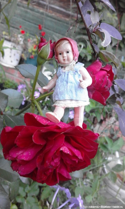 А у Вас сколько Красных Шапочек (фото 6)