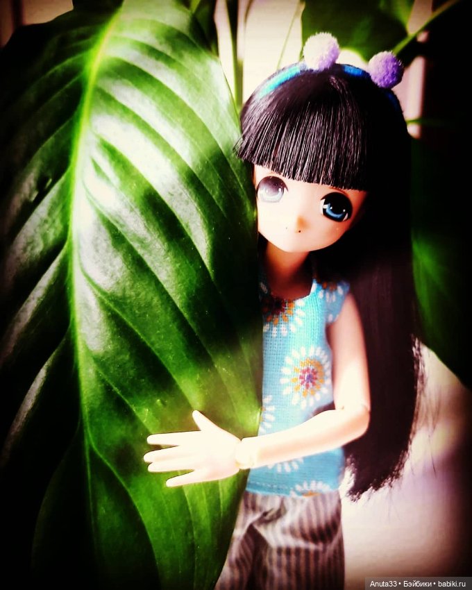 Тори. Солнышко на подоконнике♡ (фото 5)