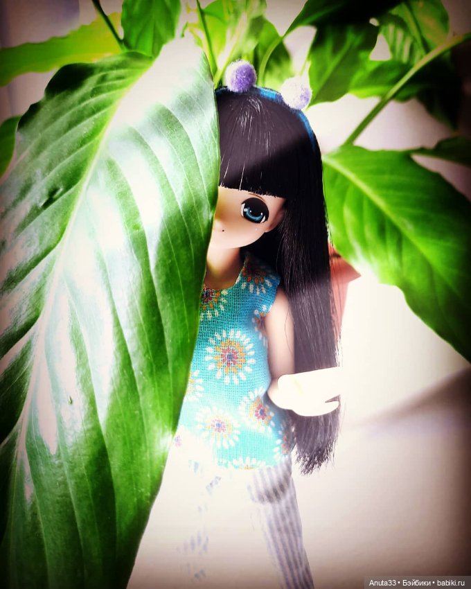 Тори. Солнышко на подоконнике♡ (фото 6)