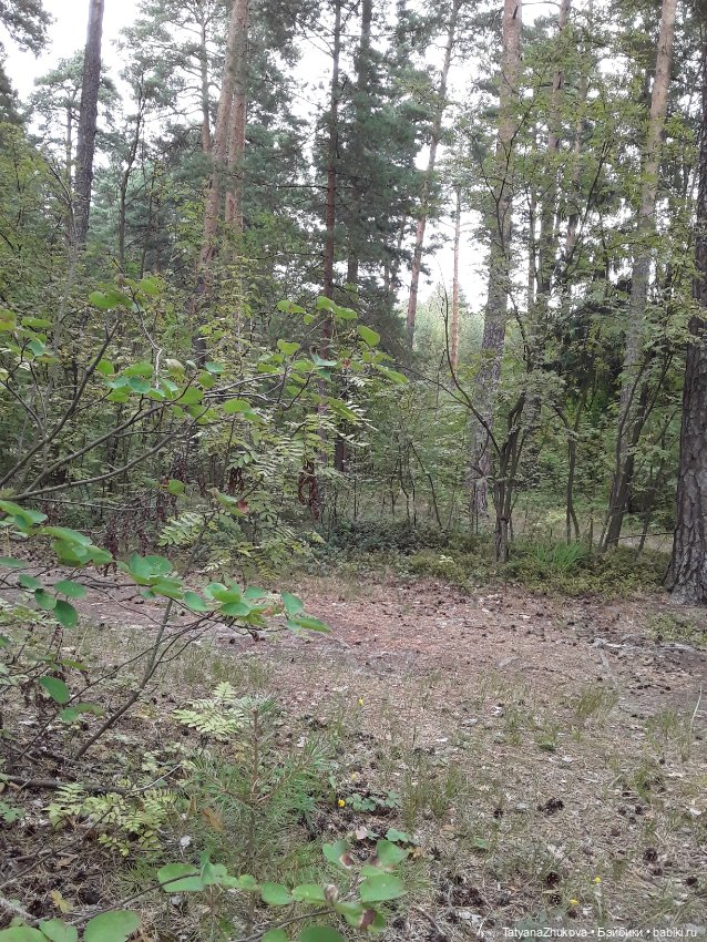 Говорят что — Болталка и разговоры обо всем: жизнь