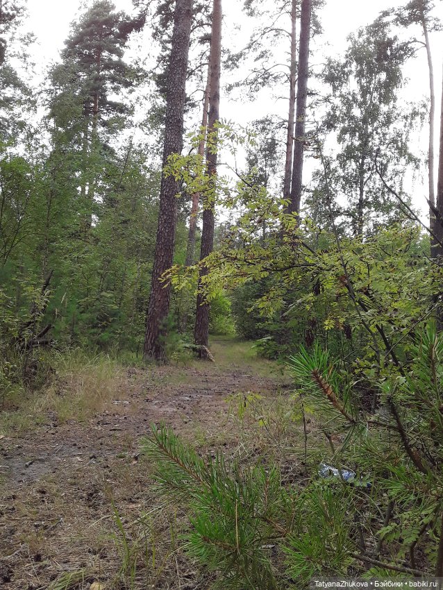 Говорят что — Болталка и разговоры обо всем: жизнь