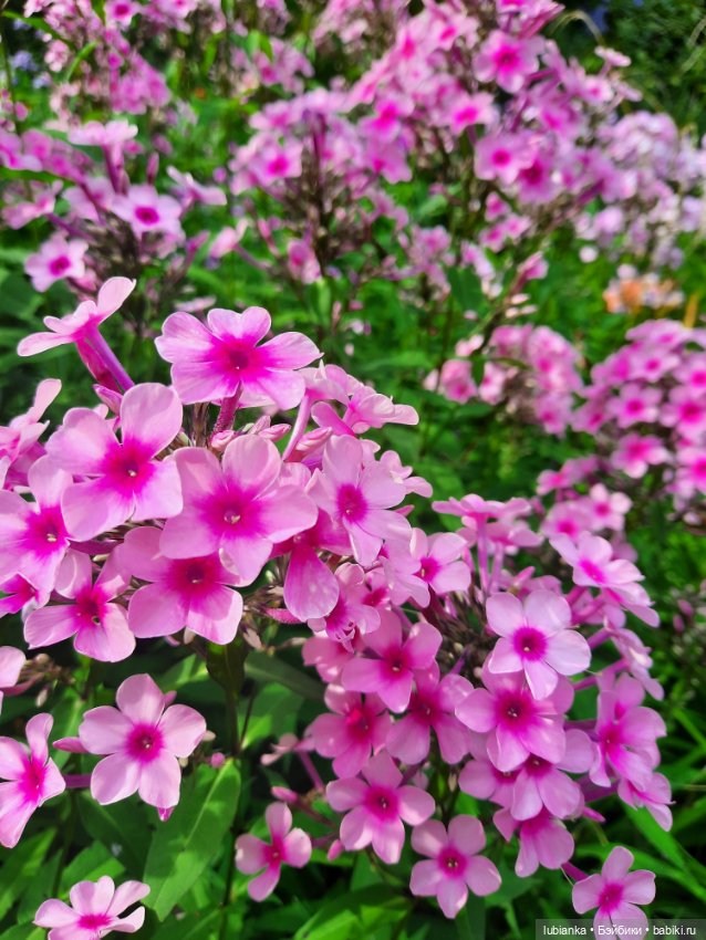 Куклы разные нужны... и цветы тоже