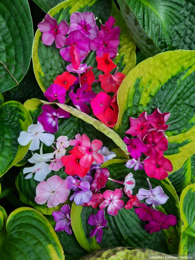 Куклы разные нужны... и цветы тоже