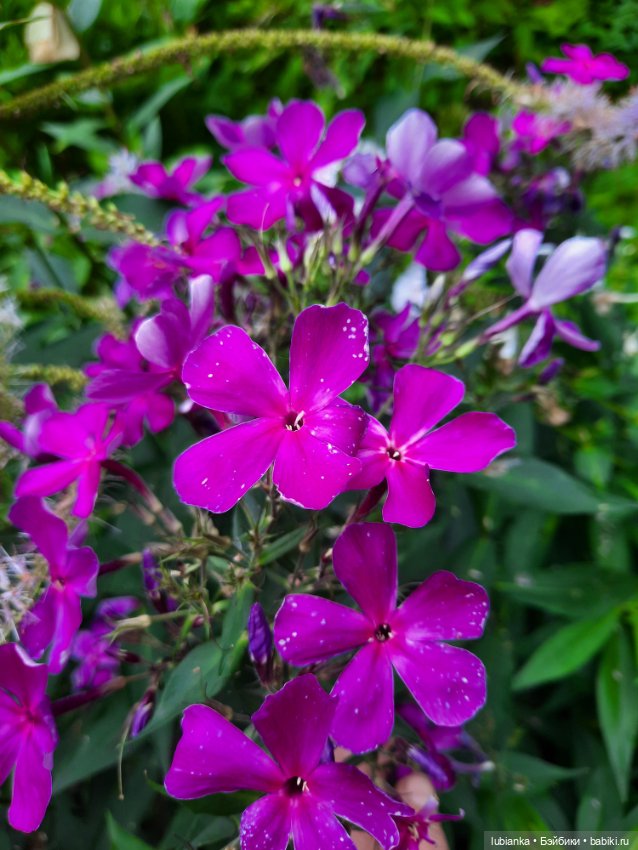 Куклы разные нужны... и цветы тоже