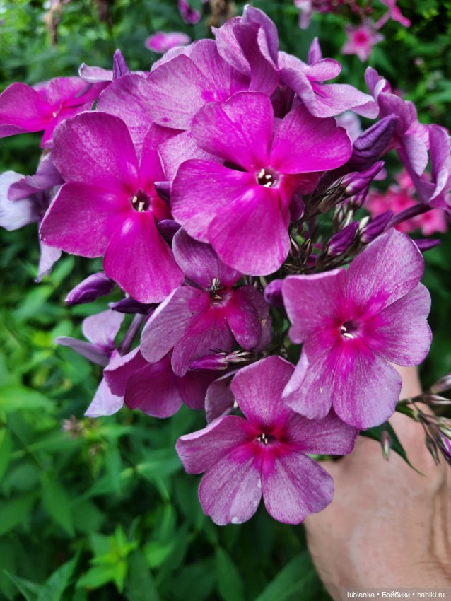 Куклы разные нужны... и цветы тоже