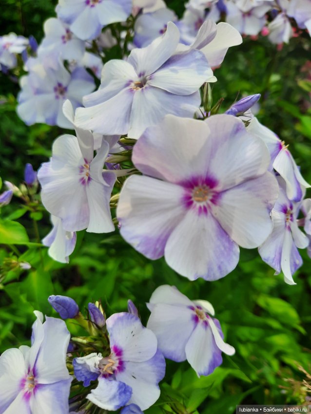 Куклы разные нужны... и цветы тоже