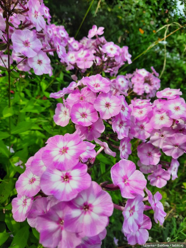 Куклы разные нужны... и цветы тоже