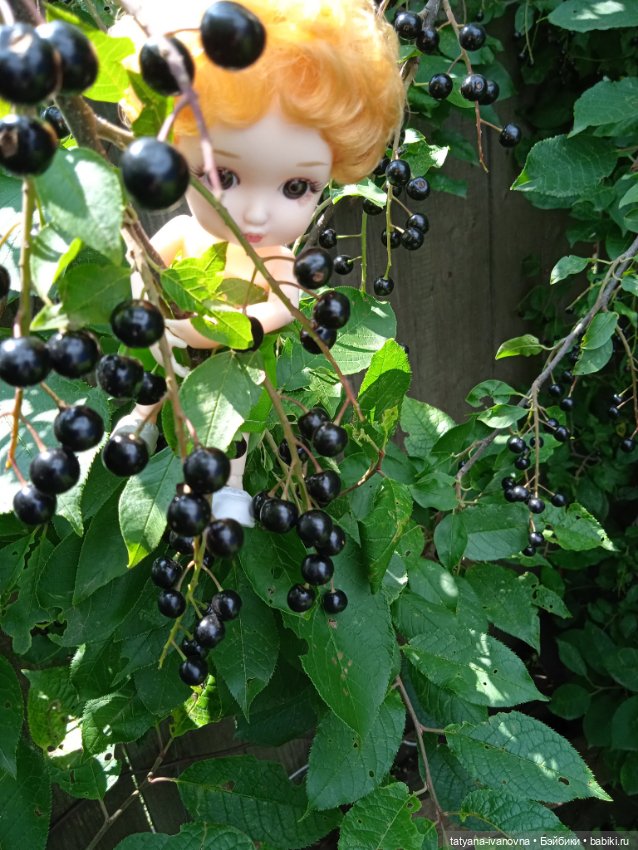 По следам советского мультика "Комаров"Часть 2