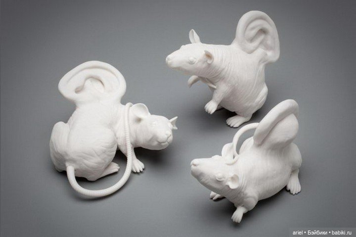 Интересные скульптуры Kate MacDowell (фото 8)