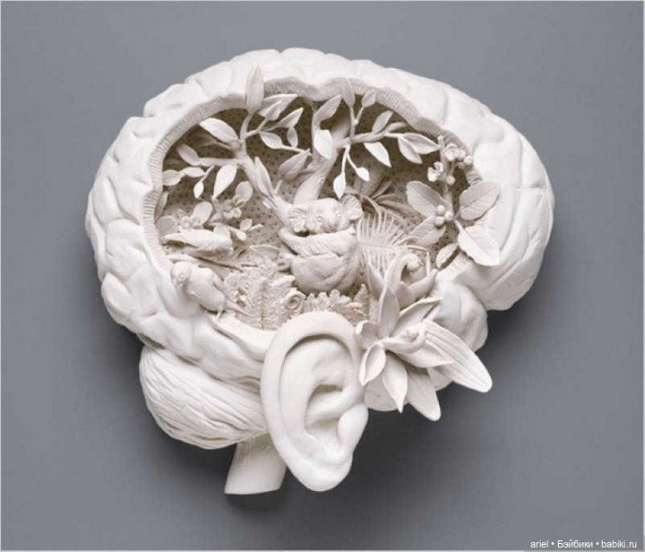 Интересные скульптуры Kate MacDowell