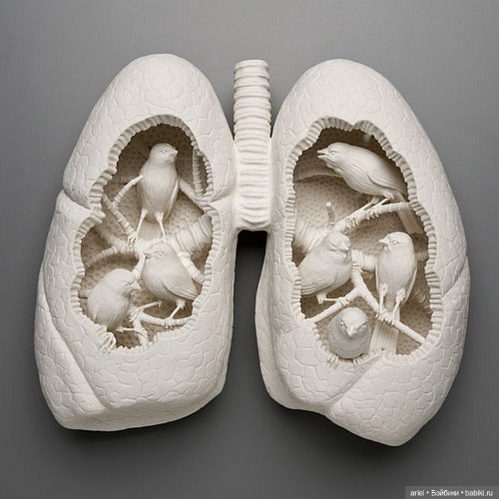 Интересные скульптуры Kate MacDowell