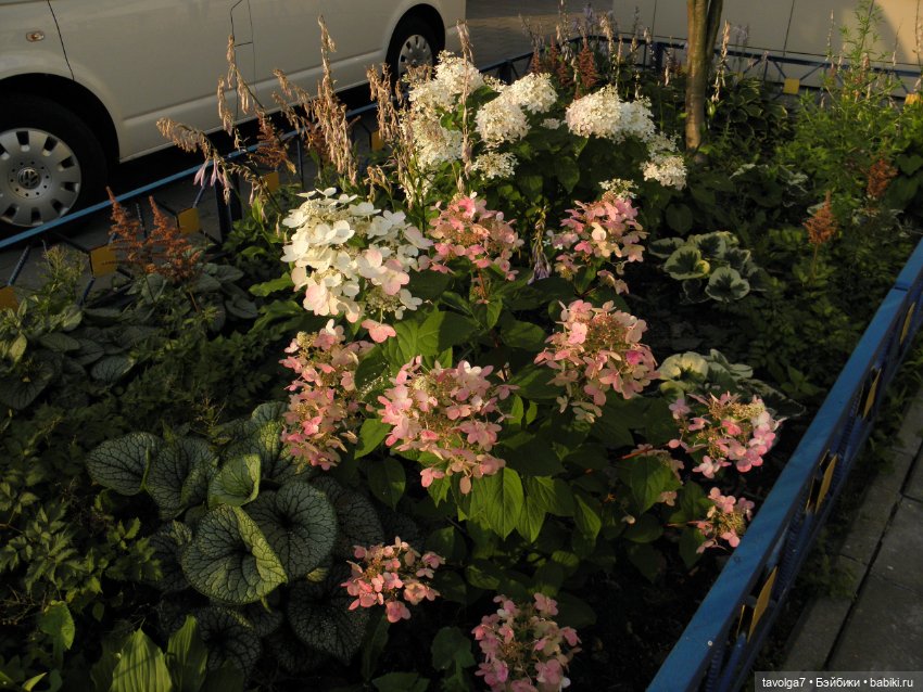 Крошечный топик про крошечную девочку (фото 3)