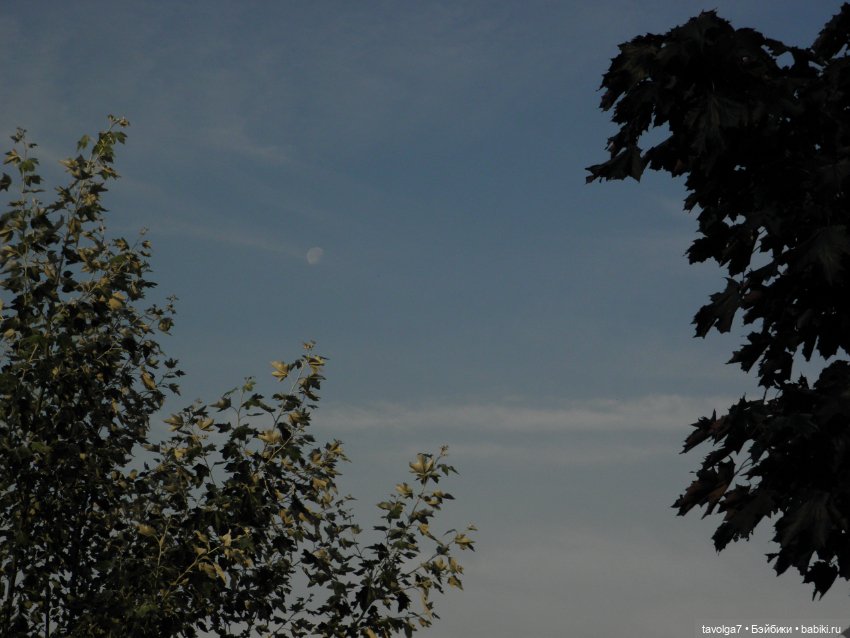 Крошечный топик про крошечную девочку (фото 9)