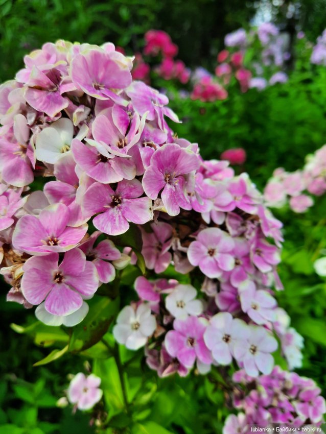 Куклы разные нужны... и цветы тоже