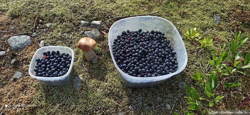 Готовы к прогулке по Заполярью? :) Давно не делилась фотографиями... 12.08.2021