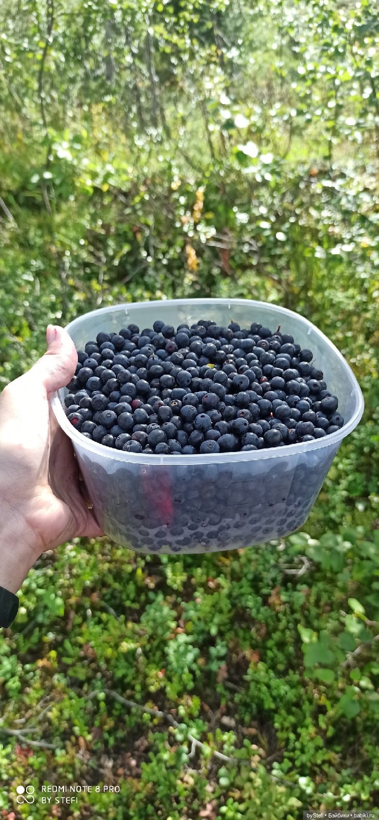 Готовы к прогулке по Заполярью? :) Давно не делилась фотографиями... 12.08.2021