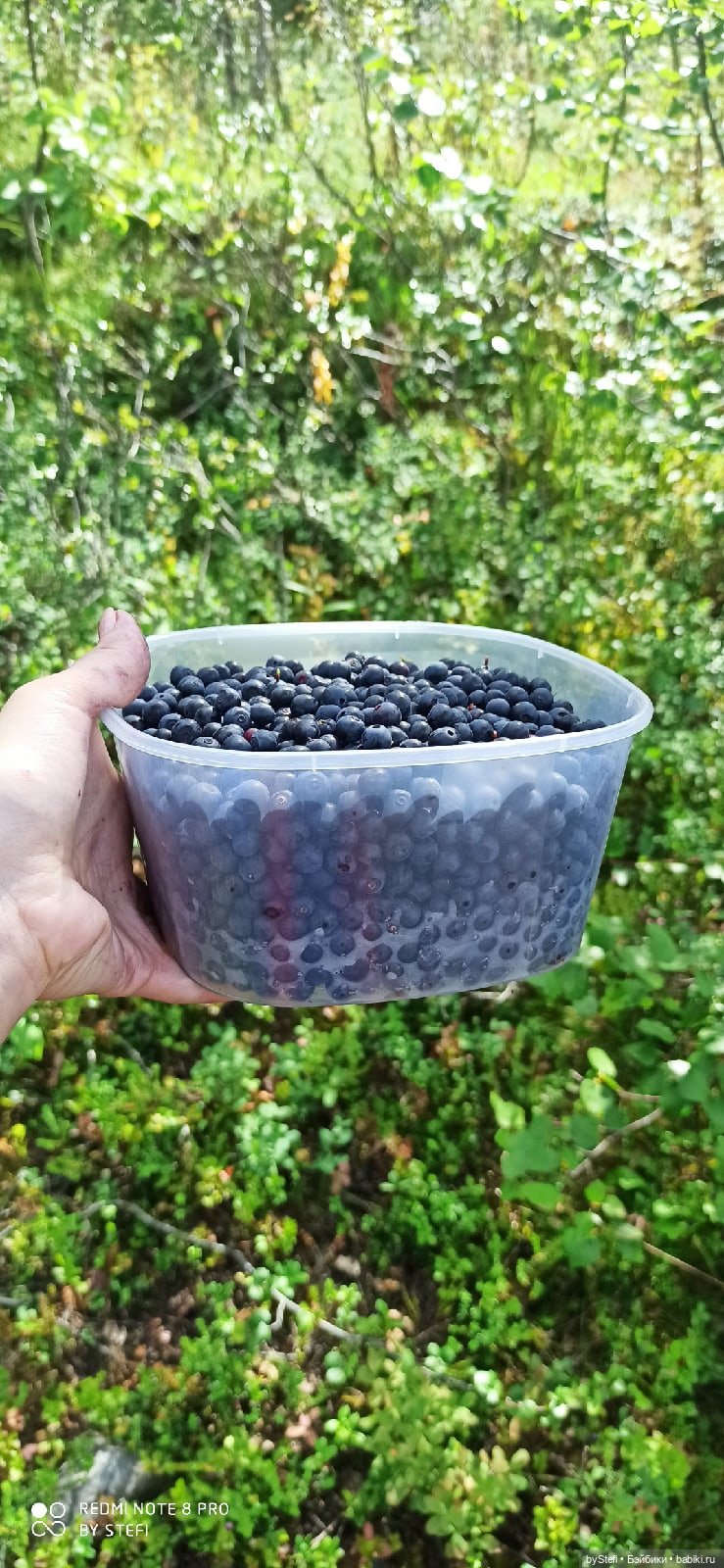 Готовы к прогулке по Заполярью? :) Давно не делилась фотографиями... 12.08.2021