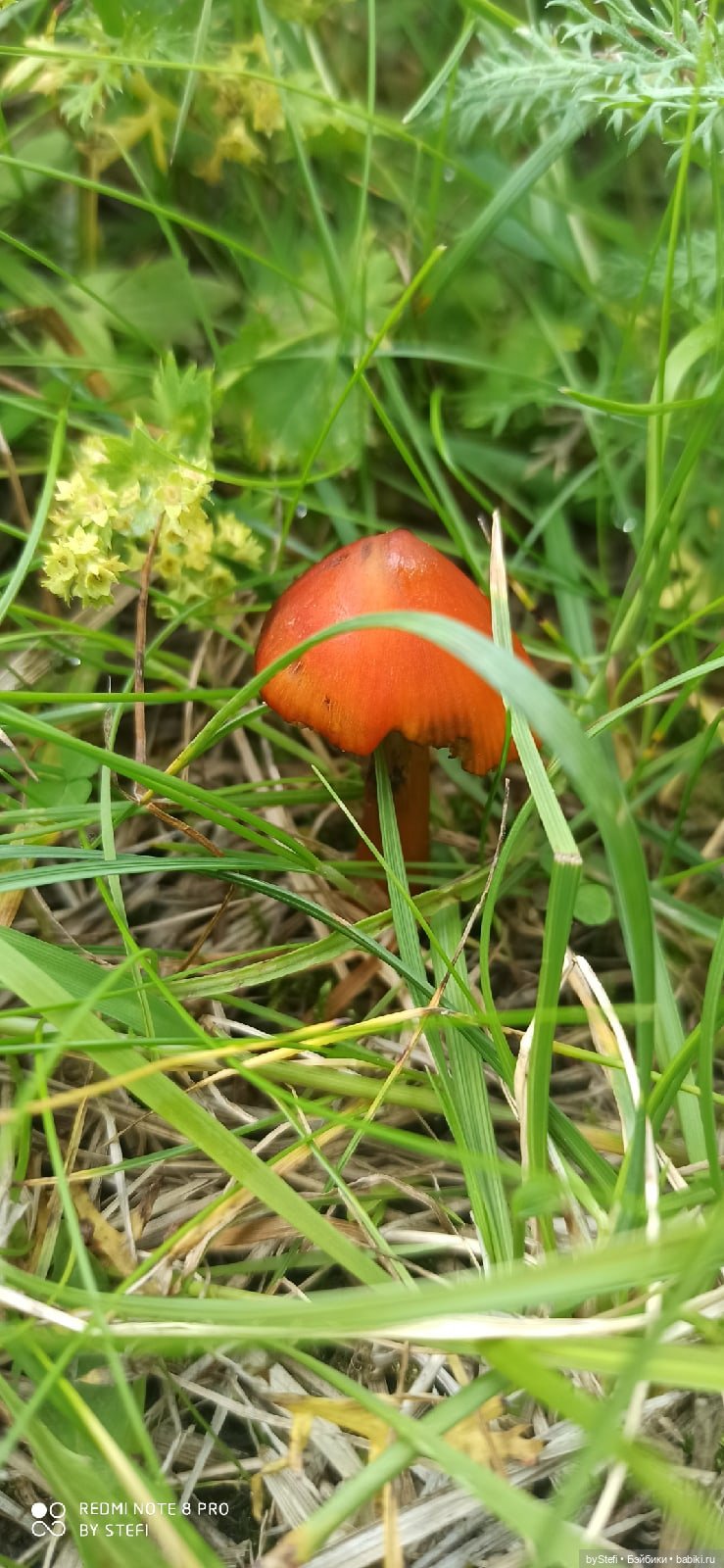 Готовы к прогулке по Заполярью? :) Давно не делилась фотографиями... 12.08.2021