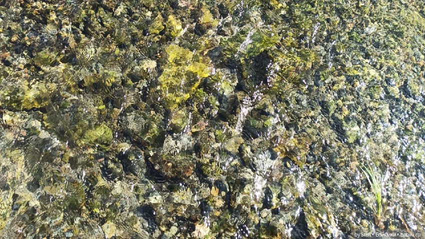 Готовы к прогулке по Заполярью? :) Давно не делилась фотографиями... 12.08.2021 (фото 8)