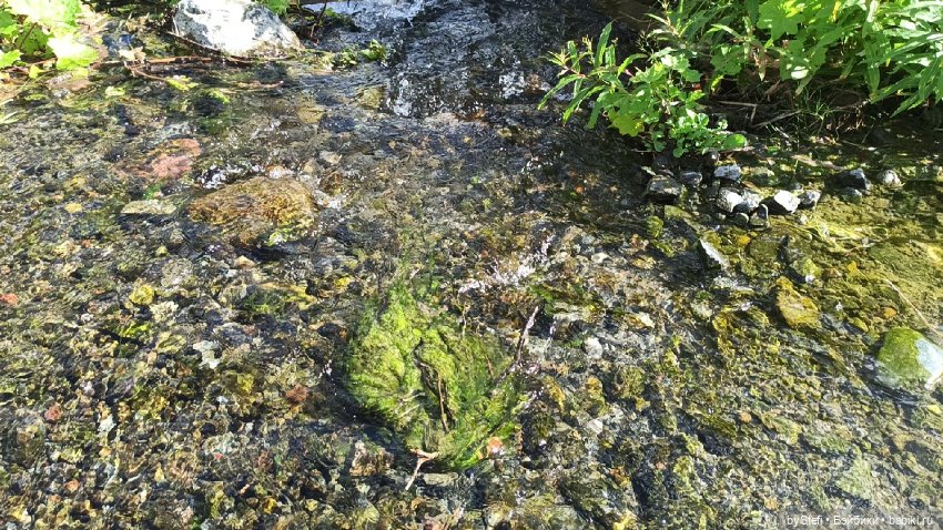 Готовы к прогулке по Заполярью? :) Давно не делилась фотографиями... 12.08.2021 (фото 9)