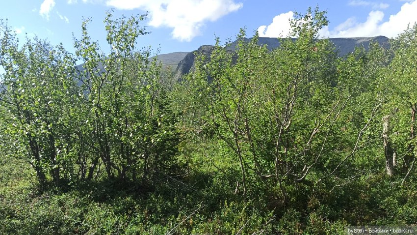 Готовы к прогулке по Заполярью? :) Давно не делилась фотографиями... 12.08.2021