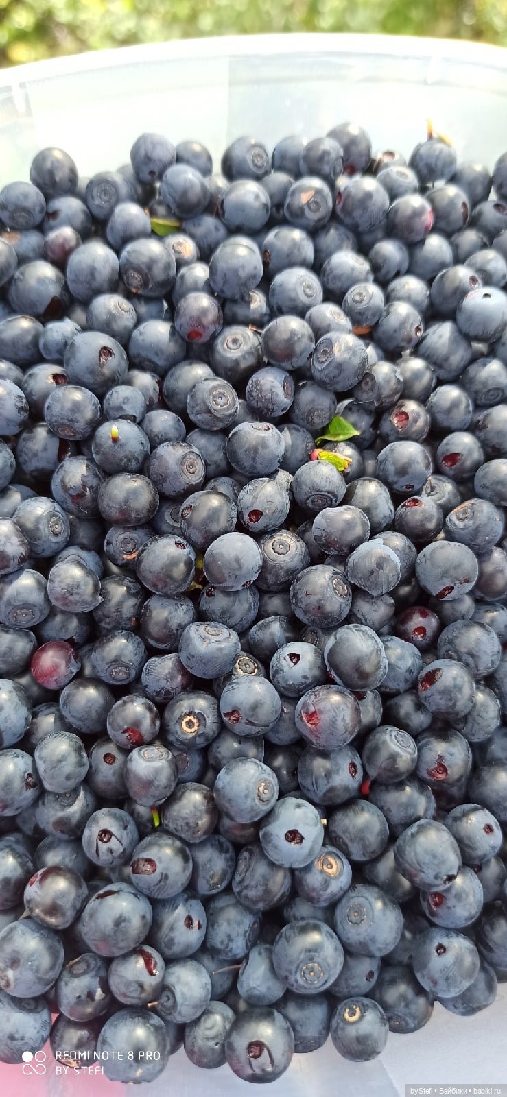 Готовы к прогулке по Заполярью? :) Давно не делилась фотографиями... 12.08.2021