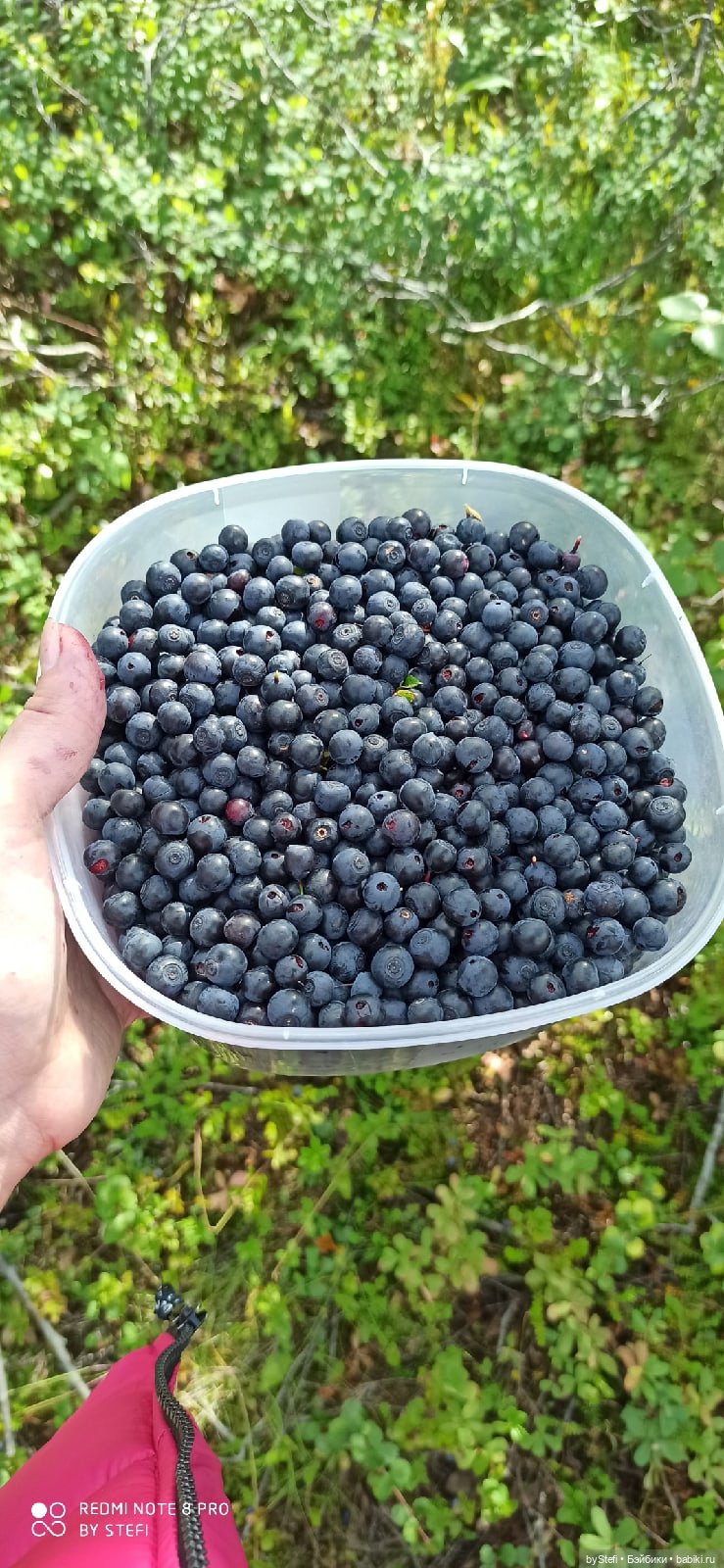 Готовы к прогулке по Заполярью? :) Давно не делилась фотографиями... 12.08.2021