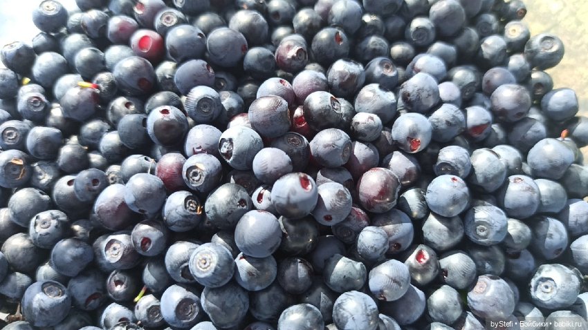 Готовы к прогулке по Заполярью? :) Давно не делилась фотографиями... 12.08.2021