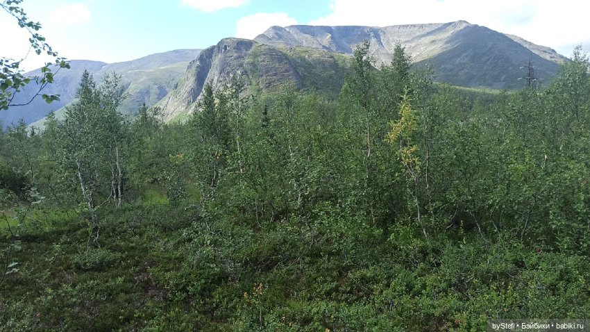 Готовы к прогулке по Заполярью? :) Давно не делилась фотографиями... 12.08.2021