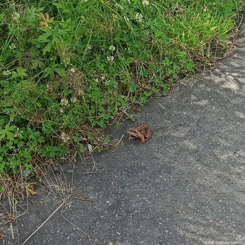 Готовы к прогулке по Заполярью? :) Давно не делилась фотографиями... 12.08.2021