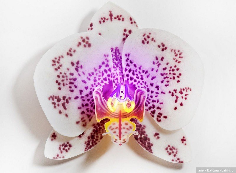 Стеклянные бабочки и цветы Laura Hart ☝️ (фото 8)