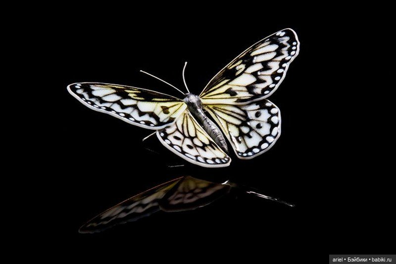 Стеклянные бабочки и цветы Laura Hart ☝️ (фото 3)