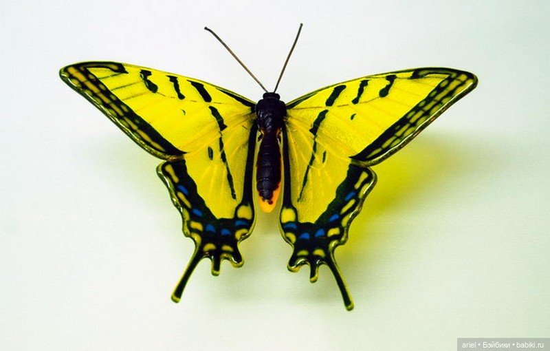 Стеклянные бабочки и цветы Laura Hart ☝️ (фото 7)