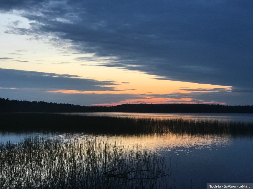 Дачные зарисовки с Гретой (фото 7)