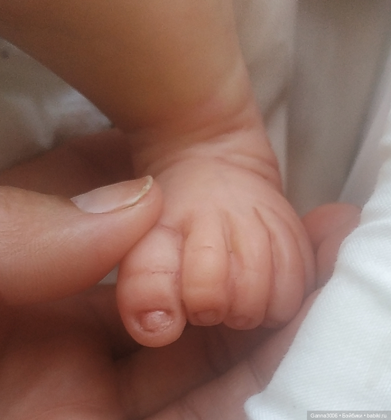 Малышка Медея( Meadow by Andrea Arcello)