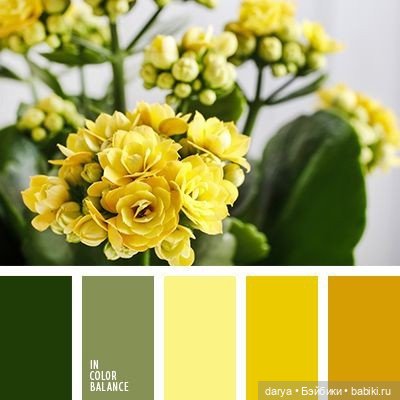 Красивое сочетание цветов