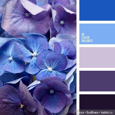 Красивое сочетание цветов (фото 4)