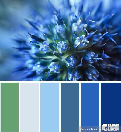 Красивое сочетание цветов (фото 5)