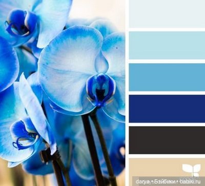 Красивое сочетание цветов (фото 6)